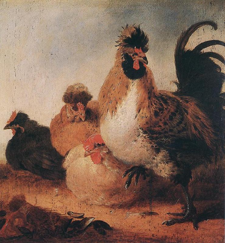 CUYP, Aelbert Rooster and Hens dfg